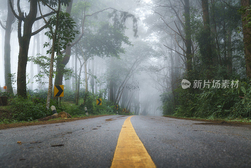 美丽的早晨道路在雾在Doi Pha Hee，清莱，泰国